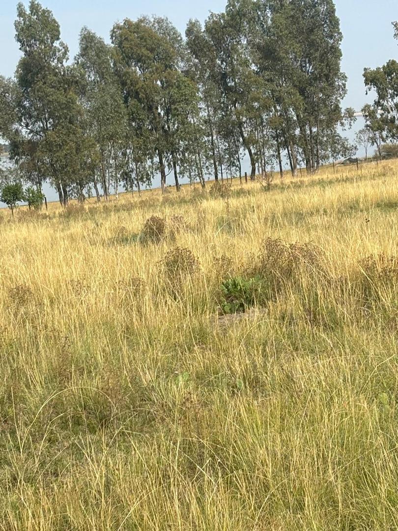 0 Bedroom Property for Sale in Oranjeville Free State